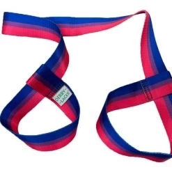 Derby Laces Pride Skate Leash - Bi Stripe Accessories