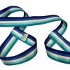 Accessories Derby Laces Pride Skate Leash - MLM Stripe