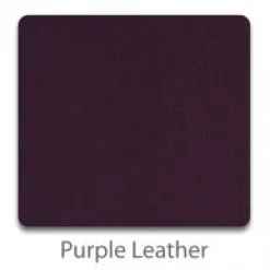 Riedell Skates Riedell Toe Guards (pair) Accessories